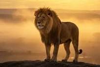 1选5技巧分享：理性选号，运气为王